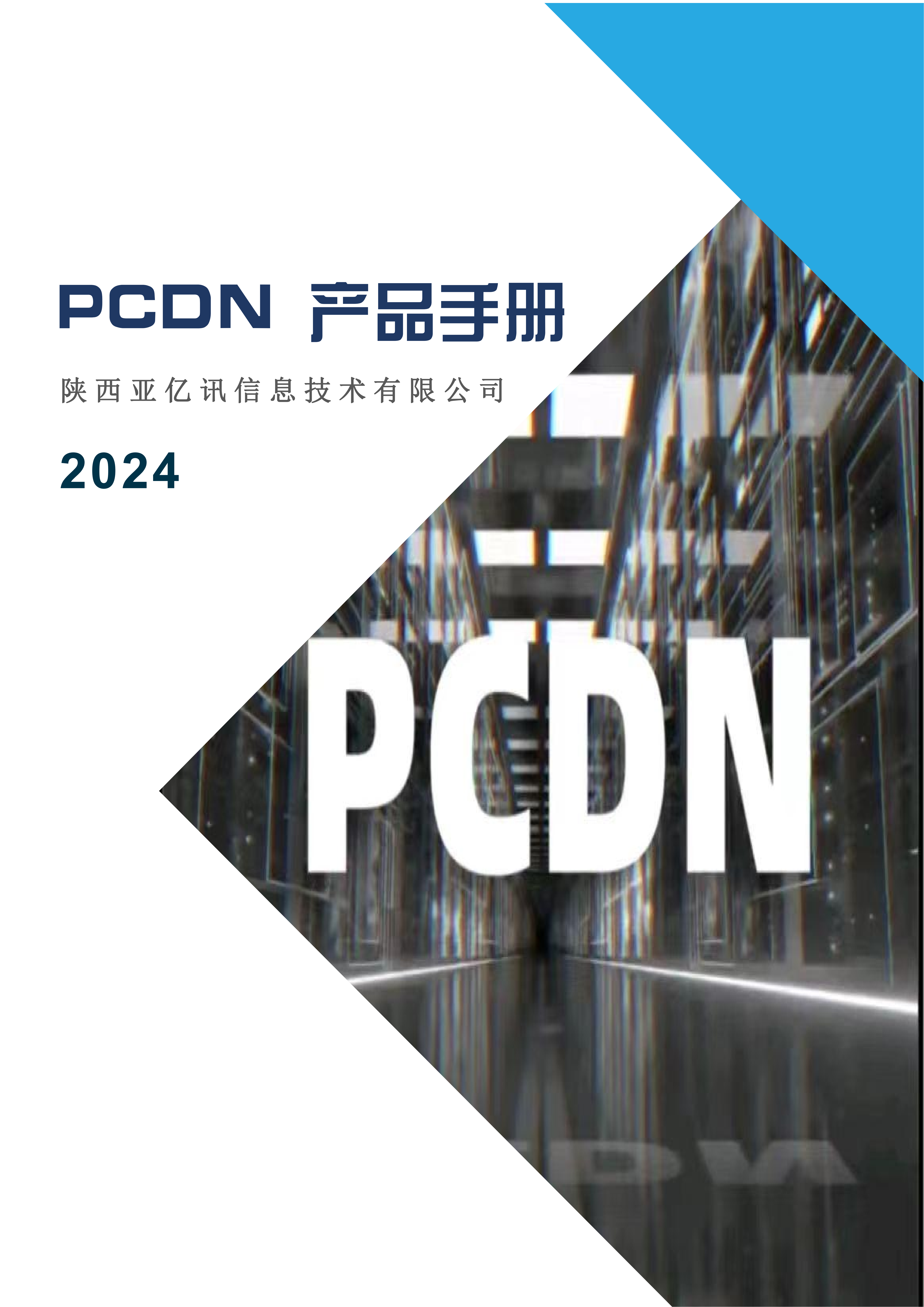 PSDN项目介绍